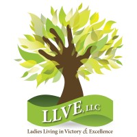 LLVE, LLC logo - Similar company to Mmdc Contractors