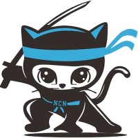 NetCat Ninja logo - Similar company to Netcat S.R.L.