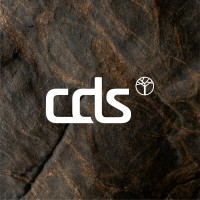 CDS Management Consulting logo - Similar company to Cds - It Success