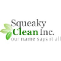 Squeaky Clean Inc logo - Similar company to Triton Enertech