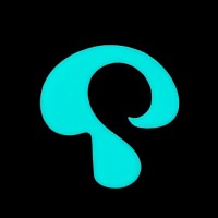 CodeRoom logo - Similar company to Xmob