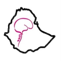 Society of Ethiopian Neurological Surgery Professionals(SENSP) logo - Similar company to Club Médical De La Recherche Scientifique Et De L'Innovation