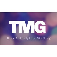 TMG Staffing Partners logo - Similar company to Mlive Software