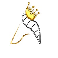 Aklil Digital Realm logo - Similar company to Zenith_Consult [Eth]