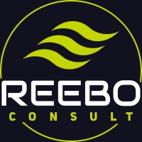 Reebo Consult logo - Similar company to Kintsugi Technologies
