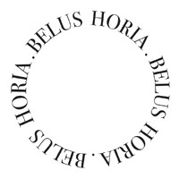 BELUS HORIA logo - Similar company to Decoration One