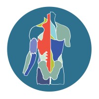 Momentum Therapy & Movement logo - Similar company to Elite Performance Athletic Therapy
