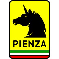 Pienza logo - Similar company to Inflection.Io