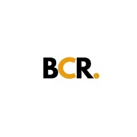 BCR Consulting and e-Commerce logo - Similar company to Satış Garanti
