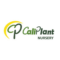 Caliplant Nursery logo - Similar company to Cedar Point Nursery