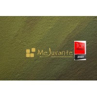 MeJuvante - IndoEuropean Society for Cross Border Collaboration and Empowering logo - Similar company to Mejuvante Gmbh