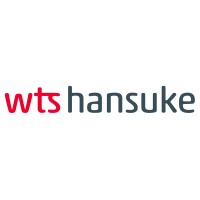 WTS Hansuke logo - Similar company to Dionz