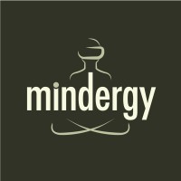 Mindergy VR logo - Similar company to Am Group