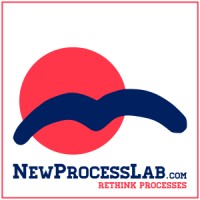 NewProcessLab.com logo - Similar company to Workforce Bridges - Wfb