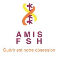 AMIS FSH logo - Similar company to Safereach Conseils