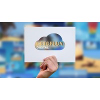 Cotoflux Digital