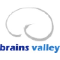 Brains Valley logo - Similar company to Skyhost