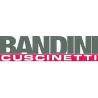 BANDINI CUSCINETTI logo - Similar company to Ccre Spa