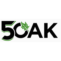 5 OAK Games logo - Similar company to Native Games Studio
