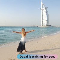 Dubai Tourism & business Services logo - Similar company to Local Performance Seo