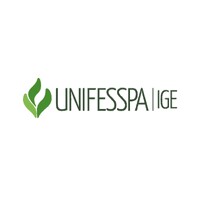 Instituto de Geociências e Engenharias (IGE) - Unifesspa logo - Similar company to Geo Master