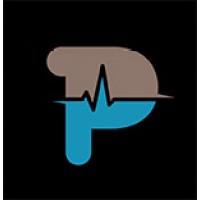 Pixel Pulse Media logo - Similar company to Ecologix
