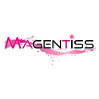 Magentiss logo - Similar company to Summa, Inc.