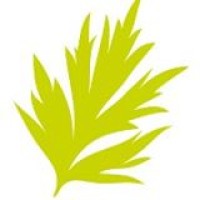Artemisia