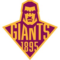 Huddersfield Giants RLFC logo - Similar company to Memographics Ltd