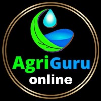AgriGuru Online Trade Pvt Ltd logo - Similar company to Blends
