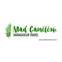 Mad Cameleon logo - Similar company to Voky Be Tours