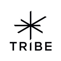 Tribe Communication logo - Similar company to Aint