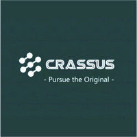 Crassus Electronics Limited logo - Similar company to Din-Tek Semiconductor
