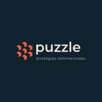 Puzzle logo - Similar company to Metricshub