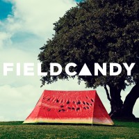 FieldCandy logo - Similar company to Mascolo Group Limited
