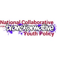 National Collaborative for Transformative Youth Policy logo - Similar company to First Person Perspective