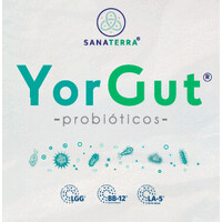 YorGut logo - Similar company to Gambooza