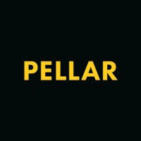 Pellar Technology logo - Similar company to Lightlink