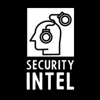 Security Intel logo - Similar company to Deepwall