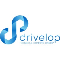 Drivelop logo - Similar company to Recyclebim Project