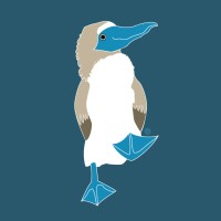 BlueFoot Inc. logo - Similar company to Gilbert  +  Chittenden