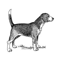 Dog Tooth Digital logo - Similar company to Seaclub