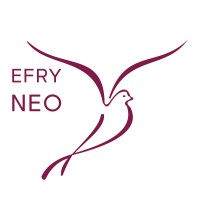 Elizabeth Fry Society of Northeastern Ontario logo - Similar company to Elizabeth Fry Society New Brunswick Nouveau-Brunswick