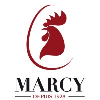 MARCY logo - Similar company to France Link Electrical
