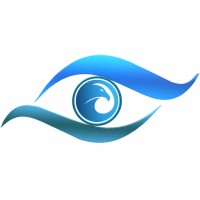 OceanEagleEye logo - Similar company to Aerospeed Air Express Llp