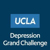 Ucla Depression Grand Challenge