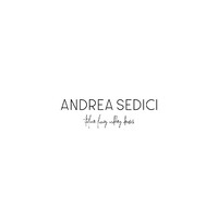 ANDREA SEDICI logo - Similar company to Knox