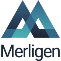 Merligen Investments Limited logo - Similar company to Tech-Exec