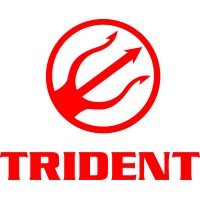 Trident Fire Compliance logo - Similar company to Trident Fire