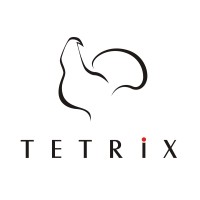 TETRIX logo - Similar company to Mangleis Group Ab Oy